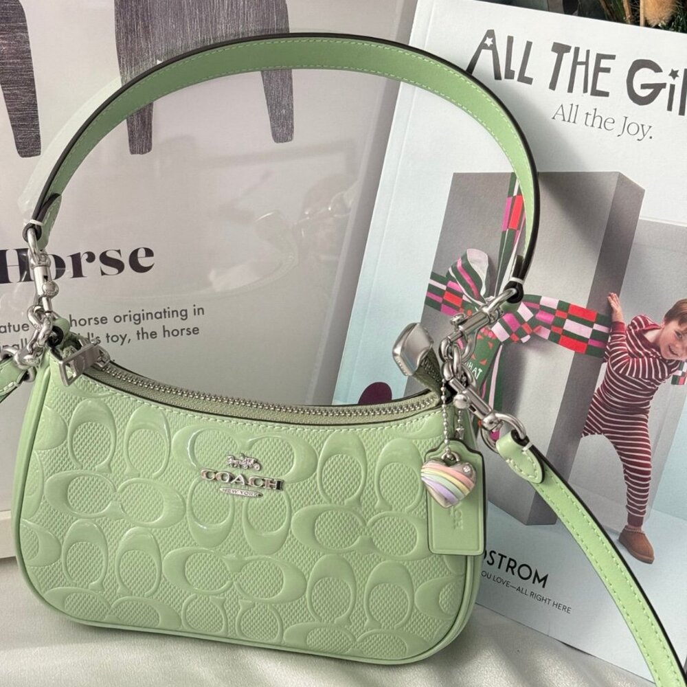 Coach Teri Mini Crossbody Bag With Heart Charm CCZ29